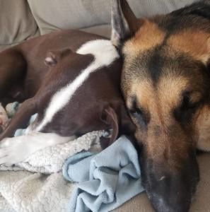 Meet your Posher, Cheryl